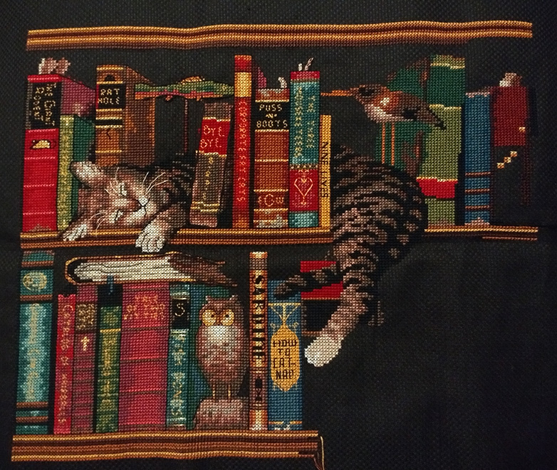 bookshelt_cat_12_04_18
